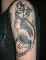 tex cat 4-05 2 640.JPG