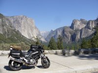 Suzuki SV650, fav shot.jpg