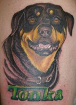 Tonka rottweiler 900.jpg
