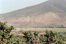 10a-Pic of Wine Field.jpg