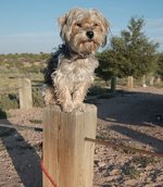 sitting-on-the-fence.jpg