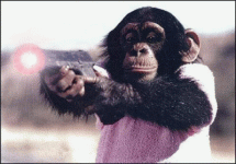 MonkeyGunLarge.gif