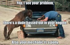 funny-pictures-pony-mechanic.jpg